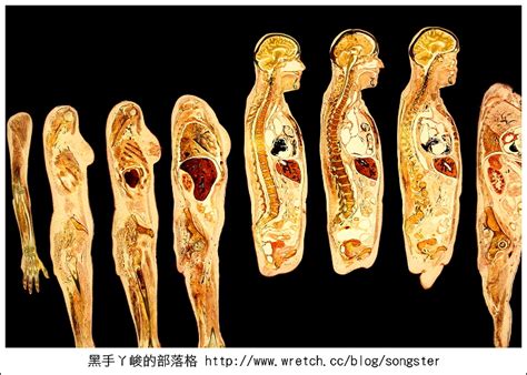 偷窺奧秘|【台北】內有大量人體照片，請小心慎入！全新人體奧妙生命循環。